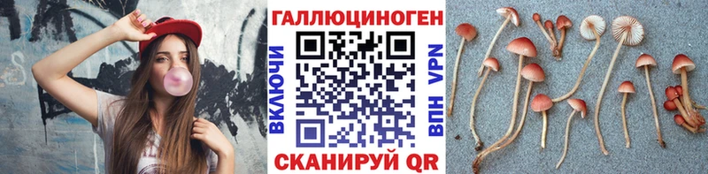 Псилоцибиновые грибы GOLDEN TEACHER  blacksprut рабочий сайт  Усолье 